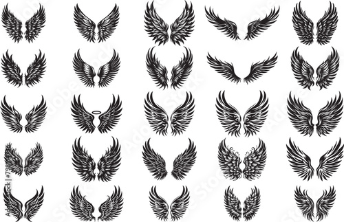 wings vector, wings vector illustration