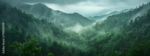 A panoramic view of the Great Smoky Mountains, covered in dense green forests and misty hills © PixelStock