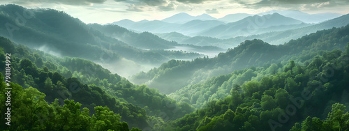 A panoramic view of the Great Smoky Mountains, covered in dense green forests and misty hills photo