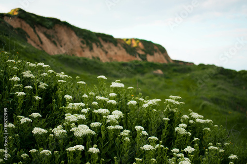 beach and seashore with sheer cliff. Seascape with the black sea. Odessa region, Ukraine, Sanzheyka photo