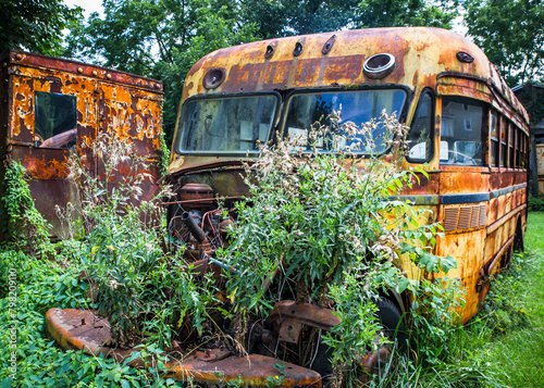 Abandoned rusty yellow school bus in overgrown outdoor setting  © littleny