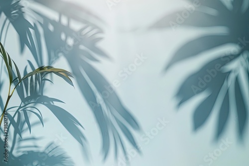 Abstract minimalism meets nature as blurred shadows dance across a light blue wall from palm leaves,