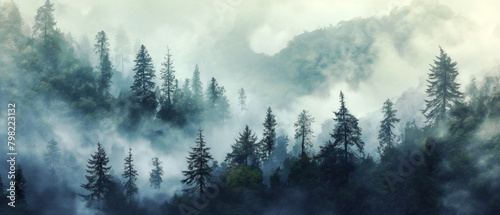 A dense fog obscures a forest of tall pine trees.