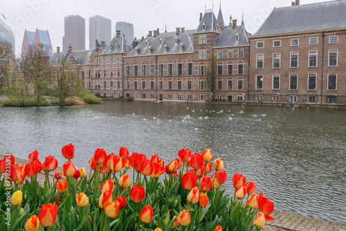 Die sTadt Den haag in den Niederlanden