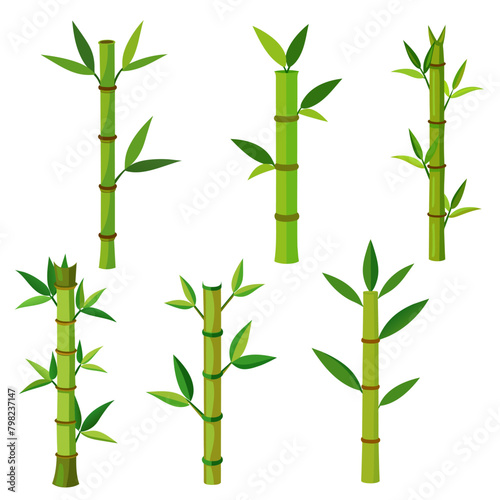 Set of green Bamboo stems isolated on the white background