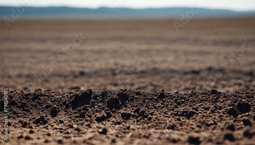 Clean soil for growing before sowing, agricultural farm. Image of deep black chernozem soil in a field.