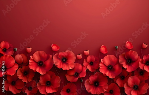 Red poppies on a red background with space for text. Banner for Memorial Day.	 photo
