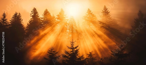 Ethereal orange backlight of car in mist  casting captivating glow in mystical forest