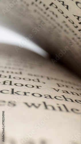 fly-through of text printed on open book pages in vertical