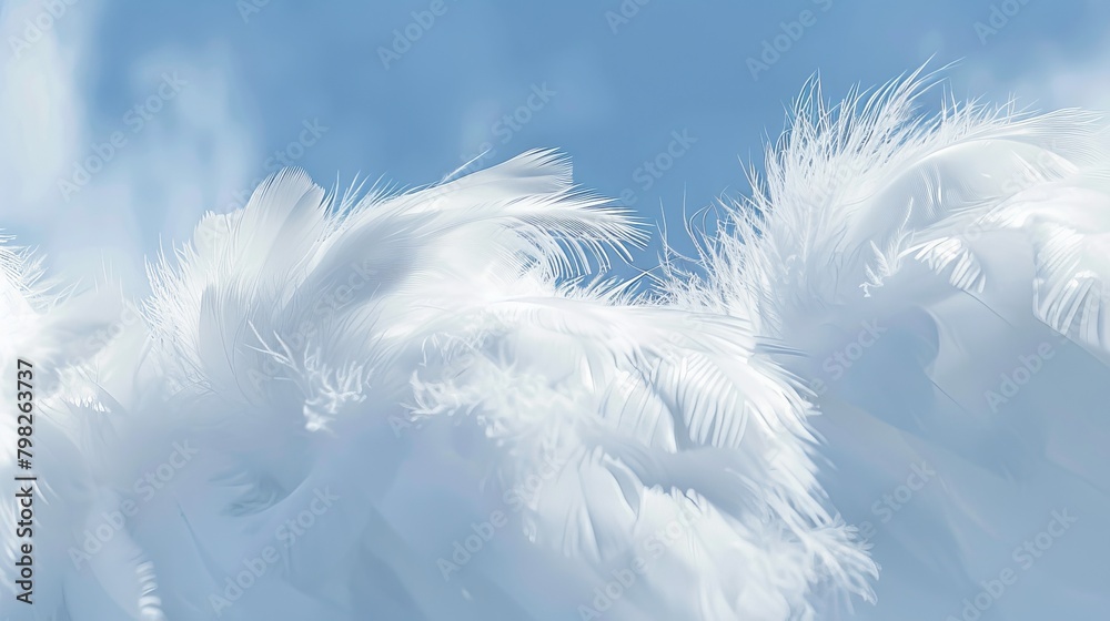 Fototapeta premium Dreamy blue feather textures against a soft sky background