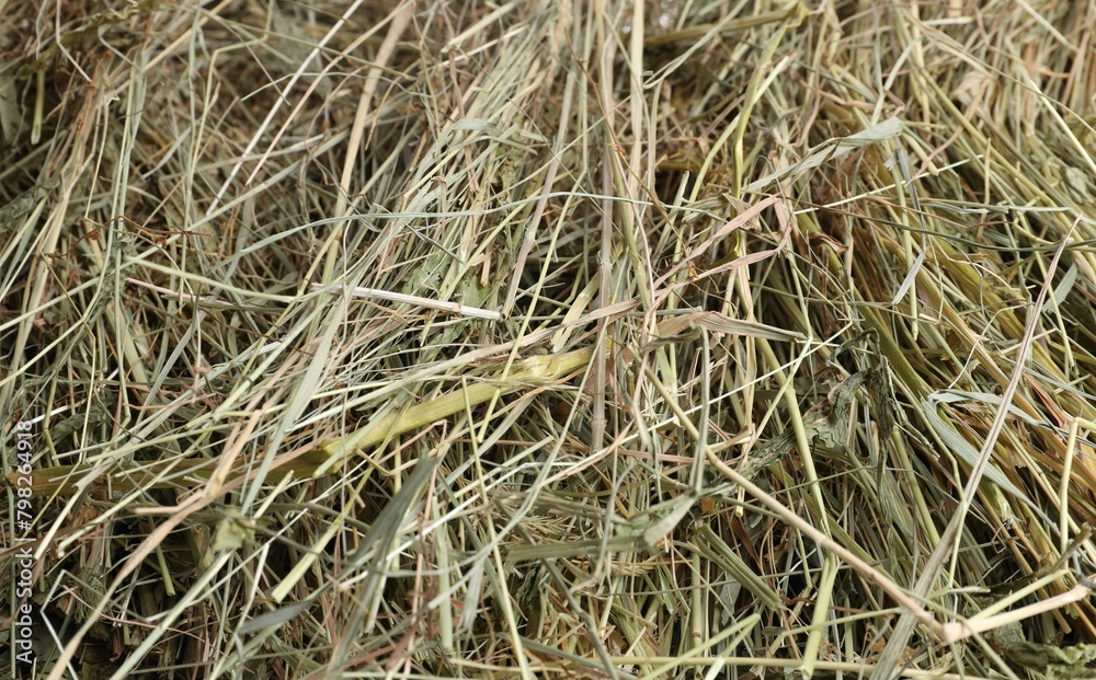 Pile of dried hay as background, closeup