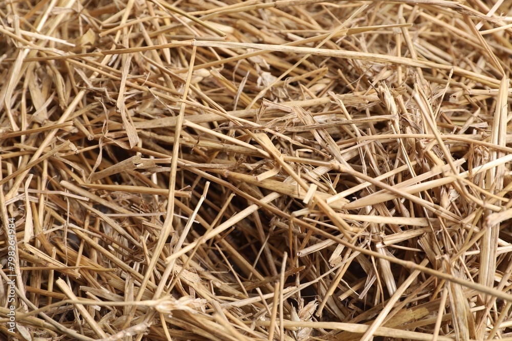 Dried straw as background, closeup. Livestock feed Dried straw as background, closeup. Livestock feed