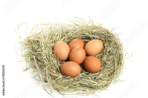 Chicken eggs in nest isolated on white