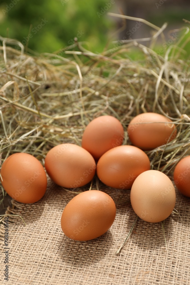 Fresh chicken eggs and dried hay on burlap fabric outdoors