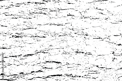 White black tree bark texture vector overlay texture. Old wood texture flat surface. Real wooden surface background bark. Top view plank.