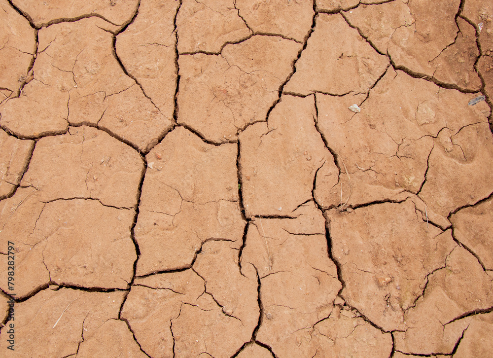 cracked dry ground in Spain, dry cracked earth cracked dry ground in Spain, dry cracked earth