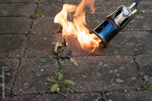 gas burner burns weeds on cement slabs