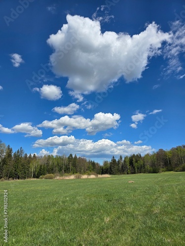 field and blue sky