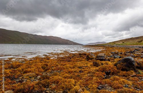 Dramatic view of Scottish loch lake and mountains with golden evening light and dark clouds in sky. Breathtaking landscapes show the power of nature © MD Media