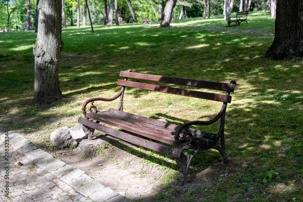 Brown benches for sitting in the city park surrounded by greenery and flowers. Benches for rest and relaxation.