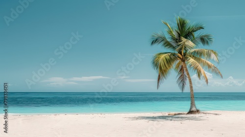 Beautiful sand beach with palm tree © Ibad