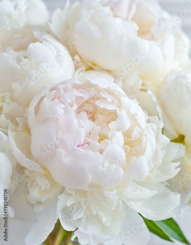 Bouquet of peonies © Bambi and Sunny