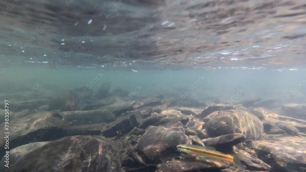 Underwater 0161 Wynantskill West Sand Lake New York