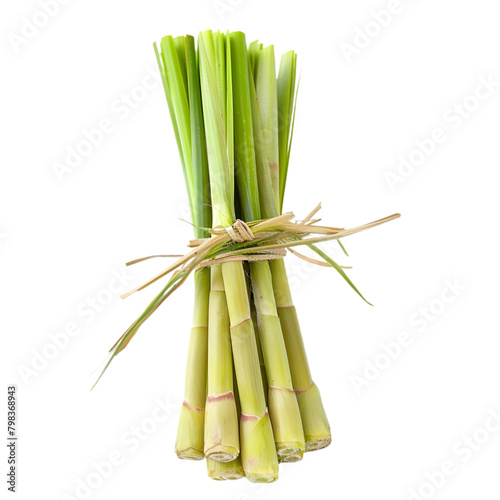  A fresh stalk of lemongrass, its fibrous texture clear and detailed, transparent background, PNG Cutout