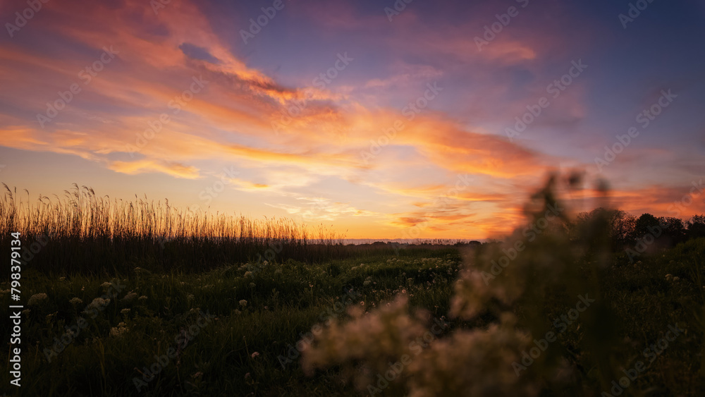 Obraz premium Beautiful sunset over the field