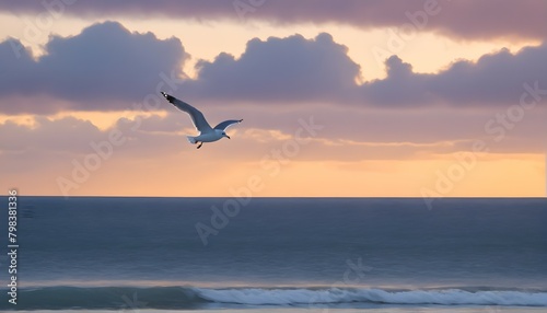 seagull on the sea