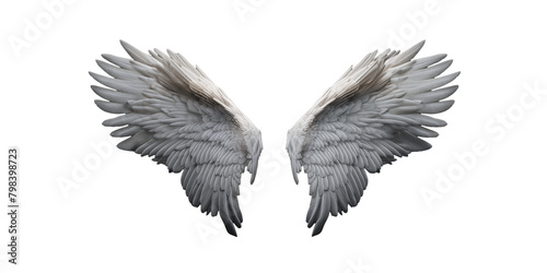  White wings contrast against black background  creating a striking visual effect.