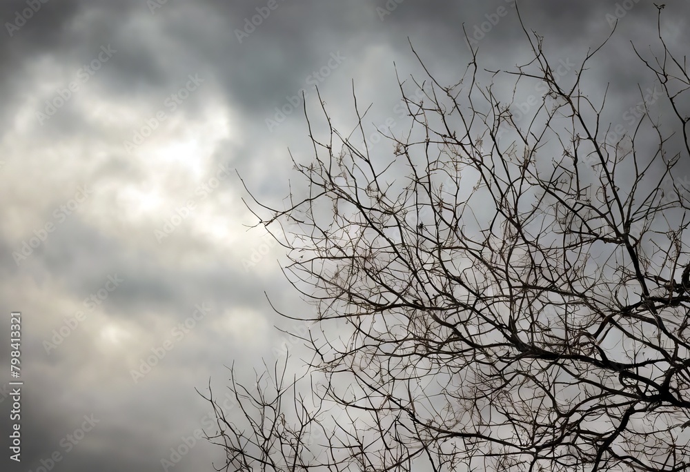 'branches tree winter sky Bare snow cloudy Background Pattern Abstract Flower Texture Nature Wood Spring Landscape Leaf Forest White Autumn Cloud Blue Ice Silhouette Plant Park' 'branches tree winter sky Bare snow cloudy Background Pattern Abstract Flower Texture Nature Wood Spring Landscape Leaf Forest White Autumn Cloud Blue Ice Silhouette Plant Park'