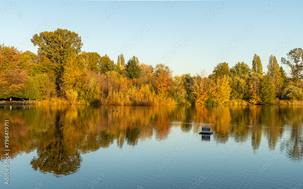 Summer Sunset at Trout Lake view golden hours trees and blue sky Summer Sunset at Trout Lake view golden hours trees and blue sky