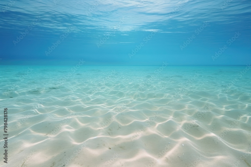 Blue ocean underwater outdoors nature. Blue ocean underwater outdoors nature.