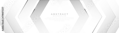 Abstract background with white and grey hexagon geometric lines. Modern minimal trendy clean pattern horizontal. Vector illustration