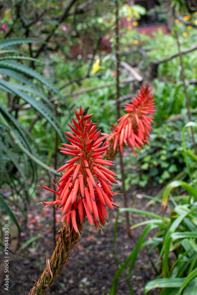 naturaleza sorprendente naturaleza sorprendente