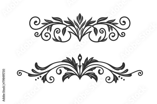 hand drawn decorative floral and ornaments