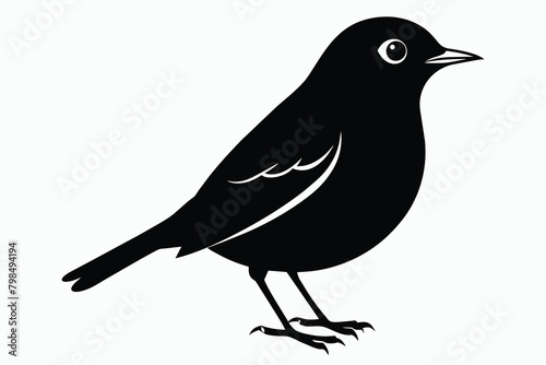 American robin bird species vector design
