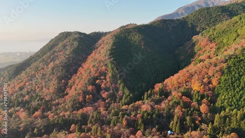 紅葉する早朝の比良山　4Kドローン映像 photo