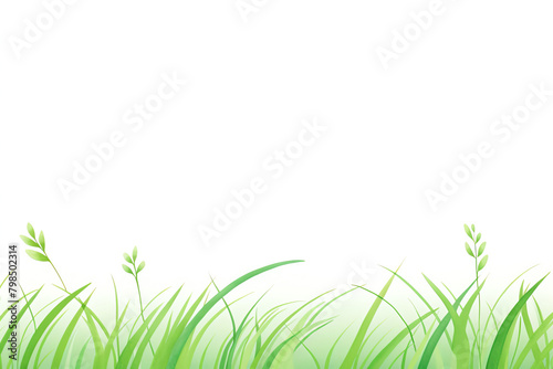 Green Grass Field Illustration on White Background