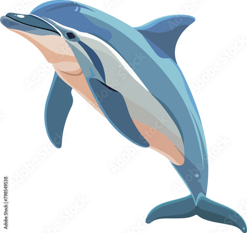 Graceful Dolphin Leap