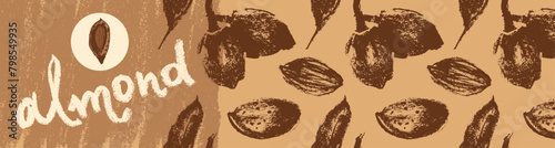 Almond label template with almonds seamless pattern. Hand-drawn illustrations of nuts for web banner, oil packaging or marzipan paste label design. Vector floral sketches background, almond ornament.