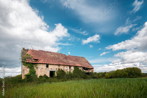 An old derelict stone barn covered in ivy in a field of crops growing in the Dordogne region of France