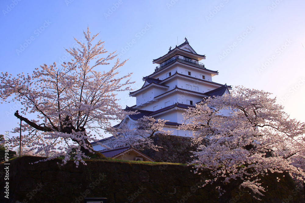 会津若松市　鶴ヶ城と満開の桜