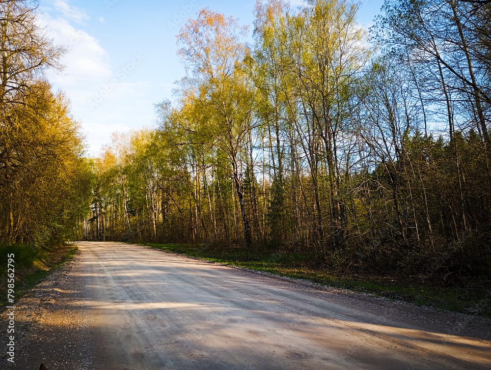 beautiful country road with green spring trees on roadsides. trees shadows on road. Latvia landscape. mobile photography 