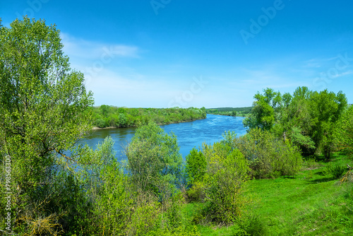 Potamology. The Don River in the middle reaches. Strong river flow and floodplain forest consisting mainly of white willow  mock valley