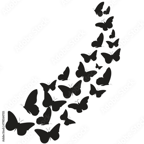 Butterfly Silhouette Image. Butterfly silhouettes flying . black and white Butterfly silhouettes flying. vector butterfly