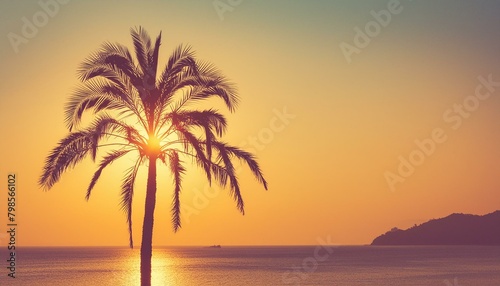 palm silhouette at sunset © Dorothy Art