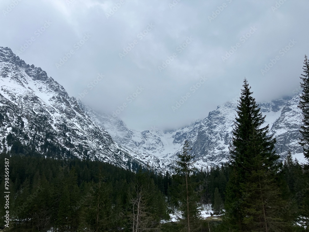wonderful panorama of the Polish Tatras, sunny day, blue sky, spring day, green meadow, snow on the mountains wonderful panorama of the Polish Tatras, sunny day, blue sky, spring day, green meadow, snow on the mountains