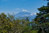 伊豆山稜トレイルから見た富士山